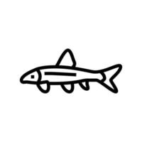 siamese algae eater line icon vector illustration