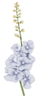 bloem element aquarel bruiloft bloem png