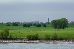 the river rhine near wesel photo