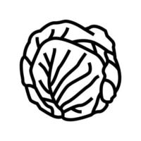 green cabbage line icon vector illustration