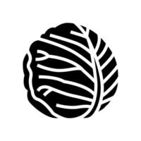 white cabbage glyph icon vector illustration