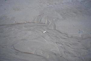 el surco flotante del hábitat del cangrejo fantasma de ojos de cuerno u ocípodo en la arena blanca junto al mar foto