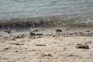 las olas a lo largo de la playa chocan con arena, grava y arena. foto