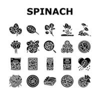 Spinach Healthy Eatery Ingredient Icons Set Vector