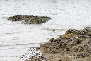 rocas junto al mar por la tarde el mar circundante se refleja en blanco. foto