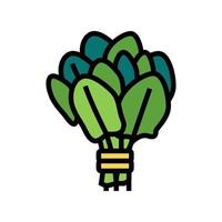 bunch spinach color icon vector illustration