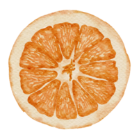 elemento acuarela naranja png