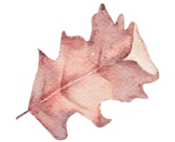 aquarelle de feuilles d'automne png