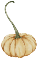 aquarelle de citrouille d'automne png