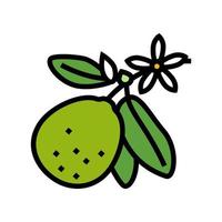 lime blossom color icon vector illustration