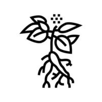 ilustración de vector de icono de línea de planta de ginseng