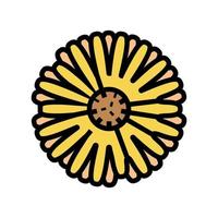 calendula flower bud color icon vector illustration