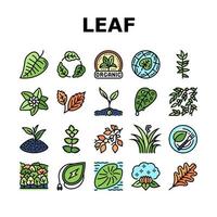 Leaf Branch Natural Foliage Tree Icons Set Vector