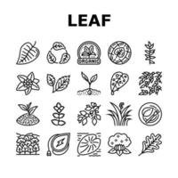 Leaf Branch Natural Foliage Tree Icons Set Vector