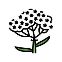 yarrow plant color icon vector illustration