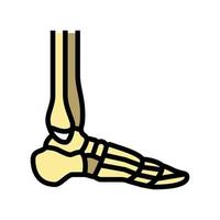 ankle bone color icon vector illustration