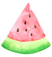 summer watercolor element png