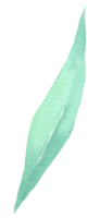 grönt blad element vattenfärg png