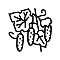 ilustración de vector de icono de línea de pepino natural en crecimiento