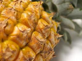 imagen de piña ananas comosus, una fruta que suele crecer en la zona tropical. esta fruta tiene muchas vitaminas que son buenas para nuestro cuerpo foto