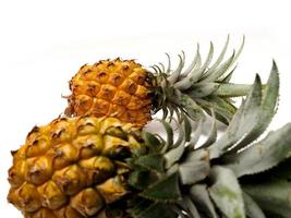 imagen de piña ananas comosus, una fruta que suele crecer en la zona tropical. esta fruta tiene muchas vitaminas que son buenas para nuestro cuerpo foto