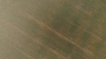 imágenes aéreas vista de ángulo alto de fuentes de generadores naturales de energía verde de turbinas eólicas y granjas de paneles solares en Inglaterra, Reino Unido foto