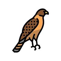 hawk bird color icon vector illustration