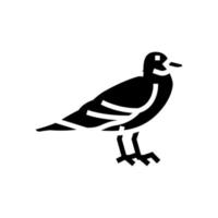 seagull bird glyph icon vector illustration