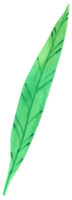 grönt blad element vattenfärg png