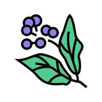 camphor aromatherapy color icon vector isolated illustration