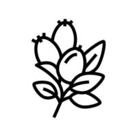 rosehip aromatherapy line icon vector isolated illustration