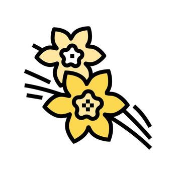 vanilla aromatherapy color icon vector isolated illustration