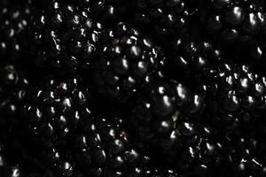 Blackberries In A Bowl Macro photo