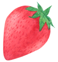 Strawberry watercolor hand paint png