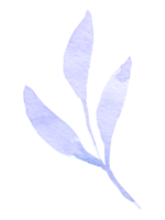 violet blad aquarel png