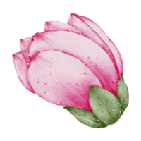 élément de fleur fleur de mariage aquarelle png