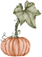 acquerello di zucca autunnale png