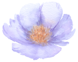 violette Blumenaquarell-Hochzeitsblume png