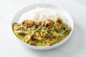 Afghani chicken in green curry or Hariyali tikka chicken hara masala with rice photo