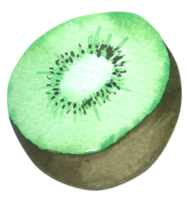 kiwi fruit aquarel handverf png