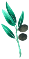 groen blad element aquarel png