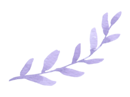 grönt blad element vattenfärg png