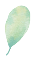 acuarela de elemento de hoja png