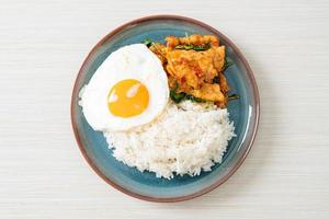 stir-fried fried fish with basil and fried egg topped on rice photo