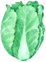 vegetabilisk akvarell handfärg png