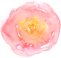 bloem element aquarel bruiloft bloem png