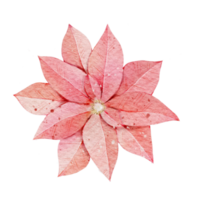 elemento de navidad acuarela png