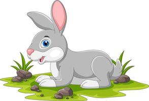 Cute rabbit cartoon vector