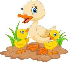 Mother duck  with her three little cute ducklings vector