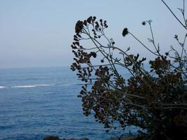 small coves on the Costa Brava near the coastal road photo